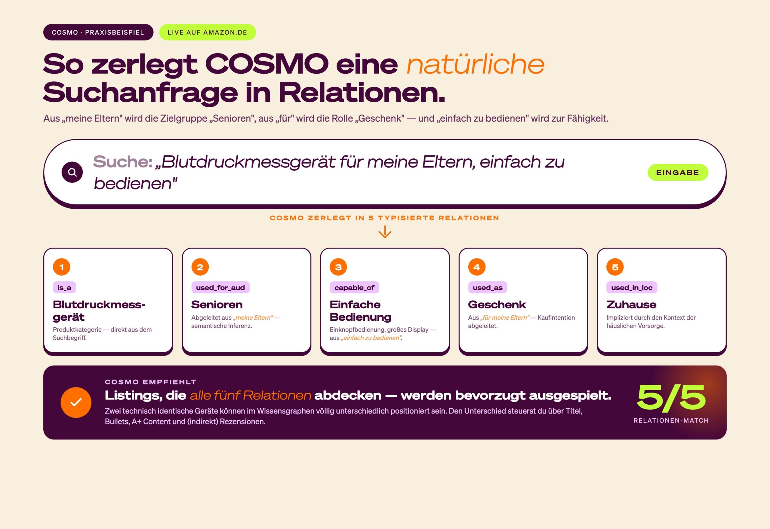 amazon-cosmo-praxisbeispiel-suchanfrage-relationen